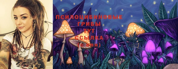 дмт Аркадак