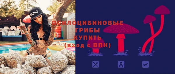 дмт Аркадак