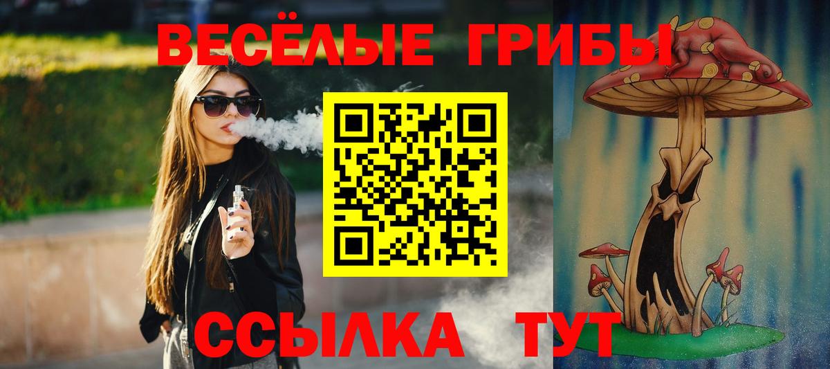 Псилоцибиновые грибы Cubensis  Вход с VPN  Белорецк  Галлюциногенные грибы прущие грибы 